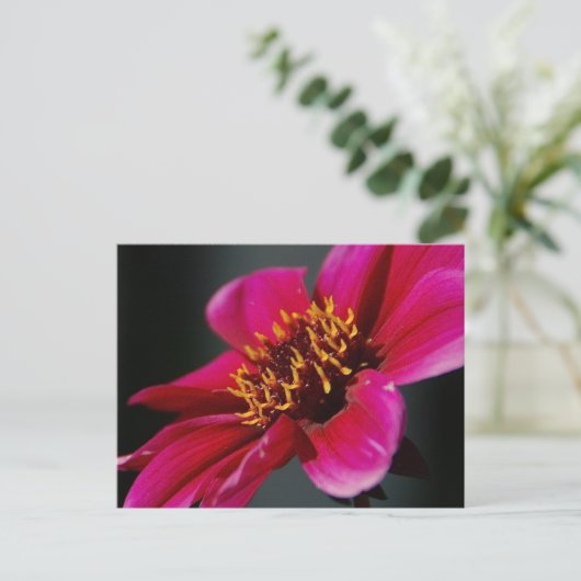 明るいとはっきりしたはがき ポストカード (スタンド正面)