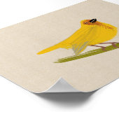 明るいアフリカの鳥の織機 ポスター (角)