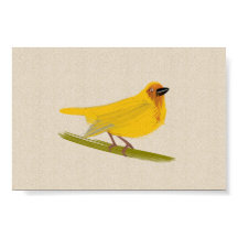 明るいアフリカの鳥の織機