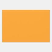 明るいエレガントオレンジ色のミニマル主義とシック ラッピングペーパーシート (正面2)