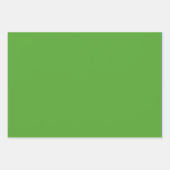 明るいエレガントグリーンのミニマル主義とシック ラッピングペーパーシート (正面2)