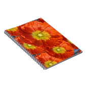 明るいオカラフルレンジミカンのケシの花 ノートブック (右側)