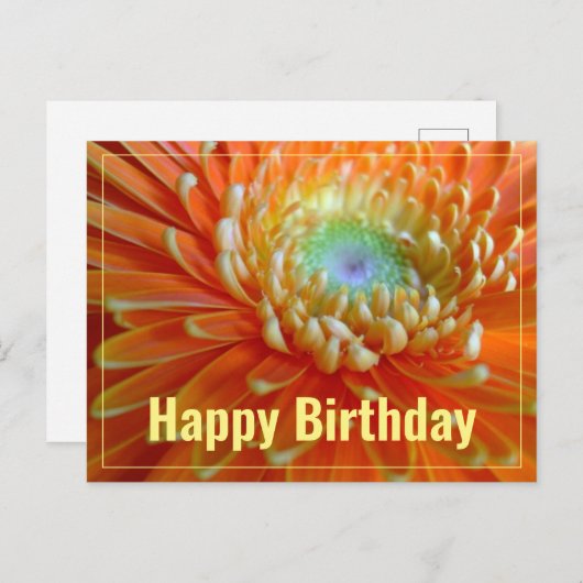 明るいオレンジのガーベラ ハッピーバースデー ポストカード (正面/裏面)