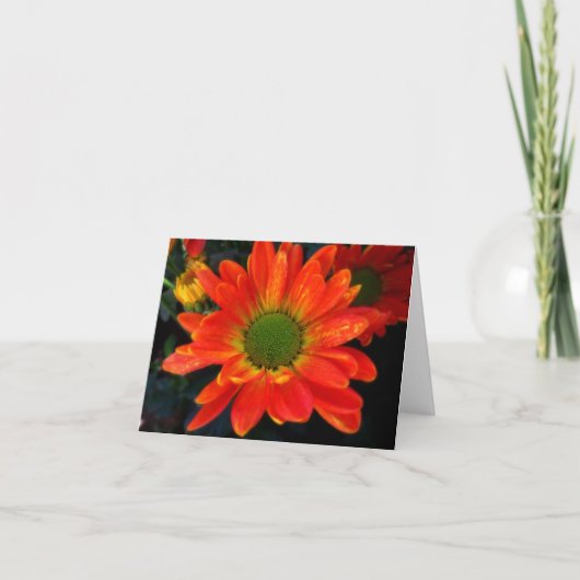 明るいオレンジミイラのメッセージカード シーズンカード (正面)