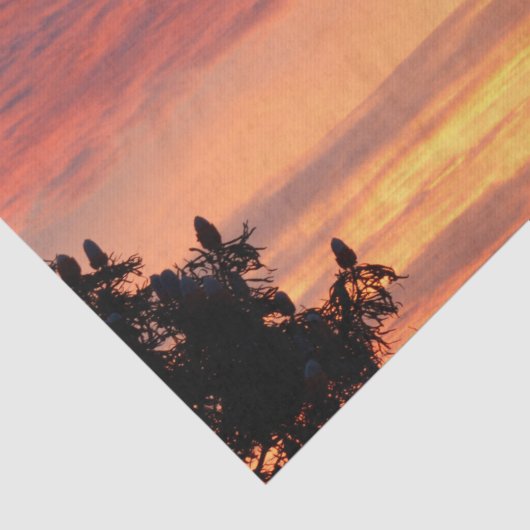 明るいオレンジ白熱［赤熱］光を放つ色の曇りの夕日 薄葉紙 (詳細)