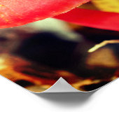 明るいオレンジ色のキノコのペアクローズアップ ポスター (角)