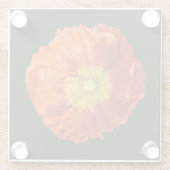 明るいオレンジ色のケシの花 ガラスコースター (裏面)