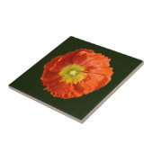 明るいオレンジ色のケシの花 タイル (側面)