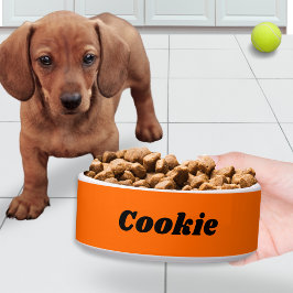 明るいオレンジ色のスタイリッシュなモダンなペット+犬の名前入りボウル ボウル