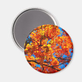 明るいオレンジ色の紅葉写真 マグネット (正面/裏面)