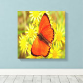 明るいオレンジ色の蝶の黄色の花 キャンバスプリント (インサイチュ (ウッドフロア))