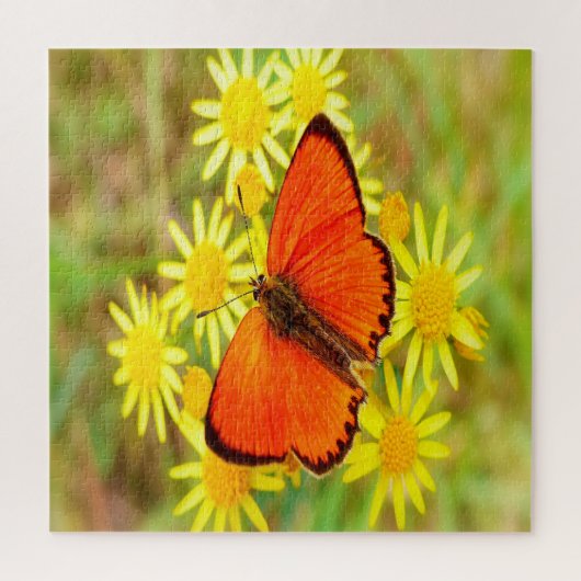明るいオレンジ色の蝶の黄色の花 ジグソーパズル (縦)