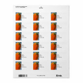 明るいカボチャ ラベル (フルシート)