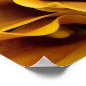 明るいカラフルのユリ ポスター (角)