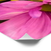 明るいカラフル花 ポスター (コーナー)