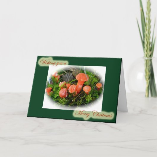 明るいキノコのクリスマスカード シーズンカード (正面)