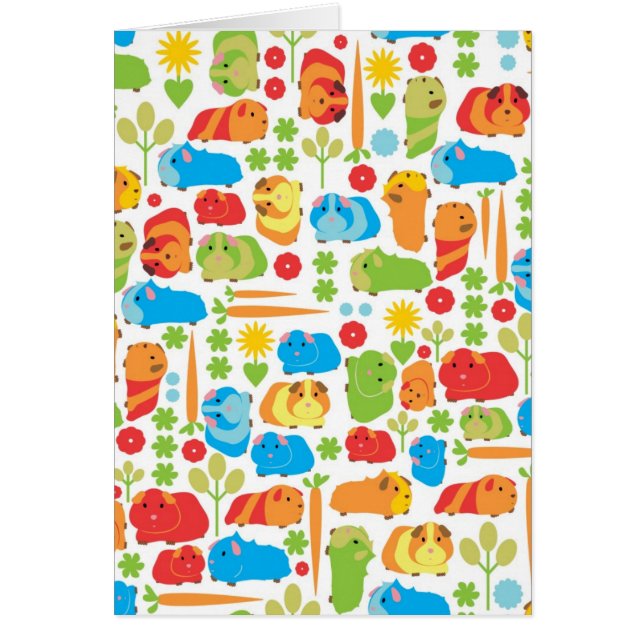 明るいギニア豚パッチ (正面)