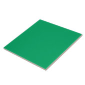 明るいグリーンのタイル タイル (側面)