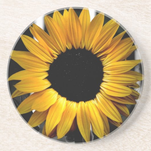 明るいコースター コースター (正面)