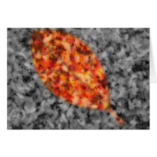 明るいシャドウカード (正面横)