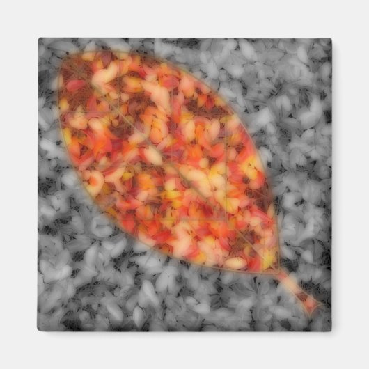 明るいシャドウ磁石 マグネット (正面)