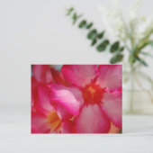 明るいジャマイカ ポストカード (スタンド正面)