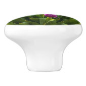 明るいチューリップ セラミックノブ (側面)