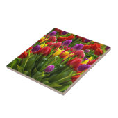 明るいチューリップ タイル (側面)