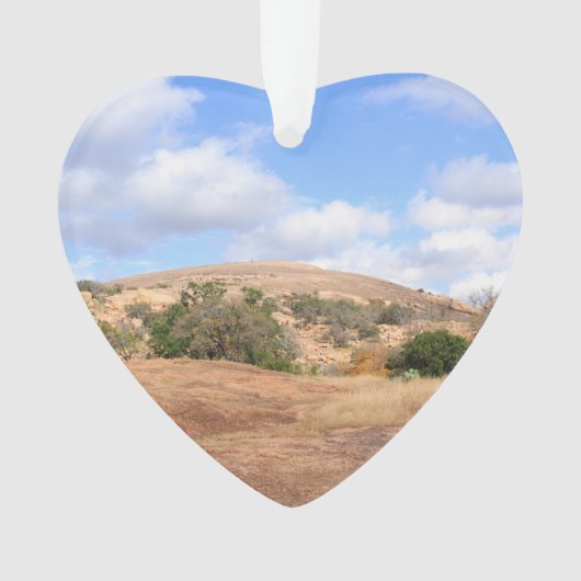 明るいテキサス州は石の州の自然な区域を魅了しました オーナメント (正面)