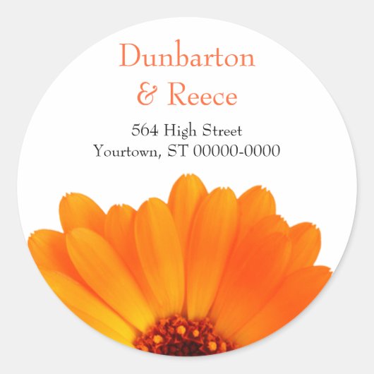 明るいデイジー ラウンドシール (正面)