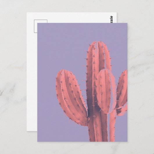 明るいネオンピンクの紫色のサボテン多肉質の写真 ポストカード (正面/裏面)