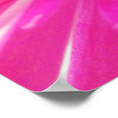 明るいネオンピンクサッカームームフラワークローズアップ ポスター (角)