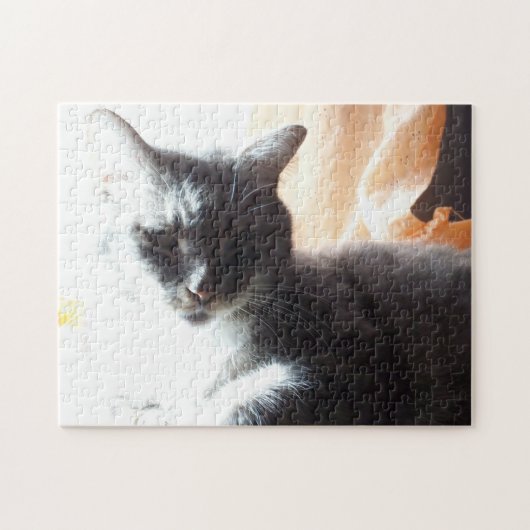 明るいネコに入るか、自分で作る ジグソーパズル (横)