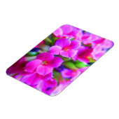 明るいハッピーKalanche花ピンクマゼンタパープル マグネット (左側)