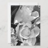 明るいバラ (正面)