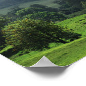 明るいパッチのアップカントリー ポスター (角)