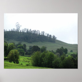 明るいパッチのアップカントリー ポスター