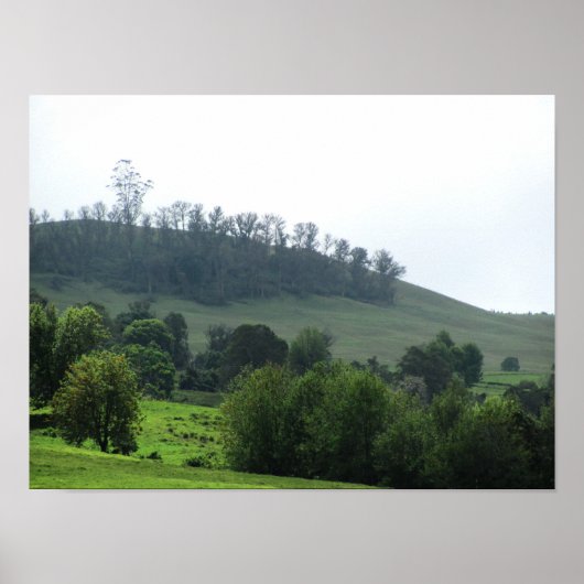 明るいパッチのアップカントリー ポスター (正面)