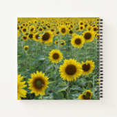 明るいヒマワリの良い雰囲気のみ ノートブック (裏面)