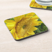 明るいヒマワリ コースター (左側)