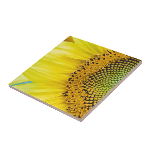 明るいヒマワリ タイル (側面)