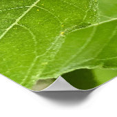 明るいヒマワリ ポスター (角)