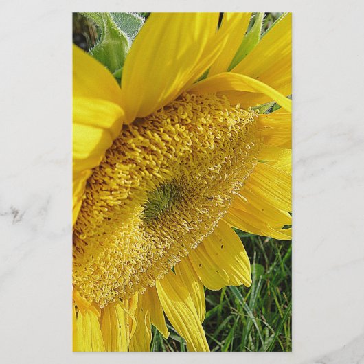 明るいヒマワリ 便箋 (正面)