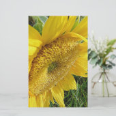 明るいヒマワリ 便箋 (スタンド正面)