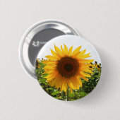 明るいヒマワリ 缶バッジ (正面&裏面)