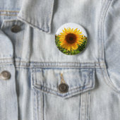 明るいヒマワリ 缶バッジ (インサイチュ)