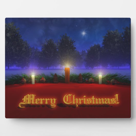 明るいビジョンクリスマスフォトプラーク フォトプラーク (正面)