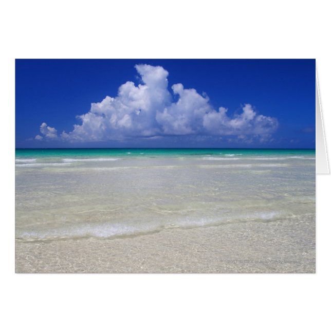 明るいビーチ (正面横)