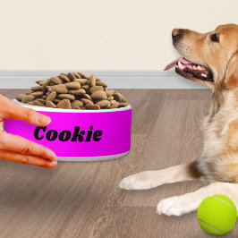 明るいピスタイリッシュッモダンクパーソナライズされたの愛犬 ボウル