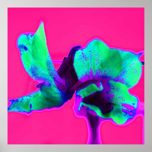 明るいピンクと緑のフローラポスタープリント ポスター (正面)